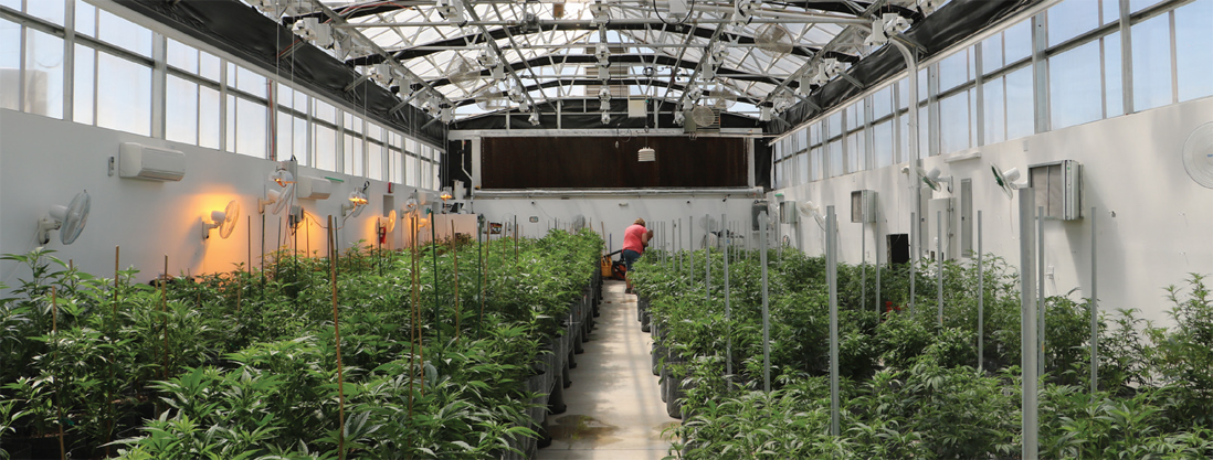 Purple Med Healing and Wellness interior shot