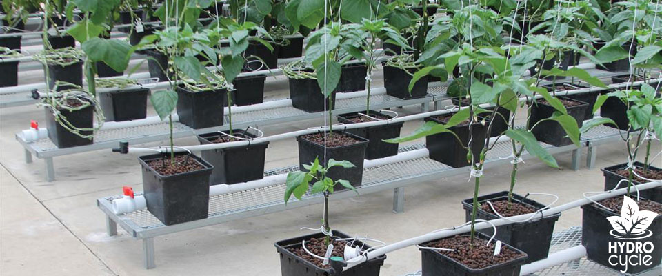 Hydroponics accessories