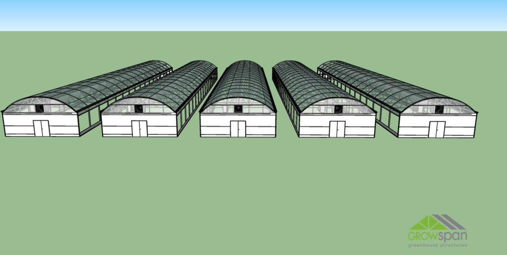 3D Greenhouse rendering
