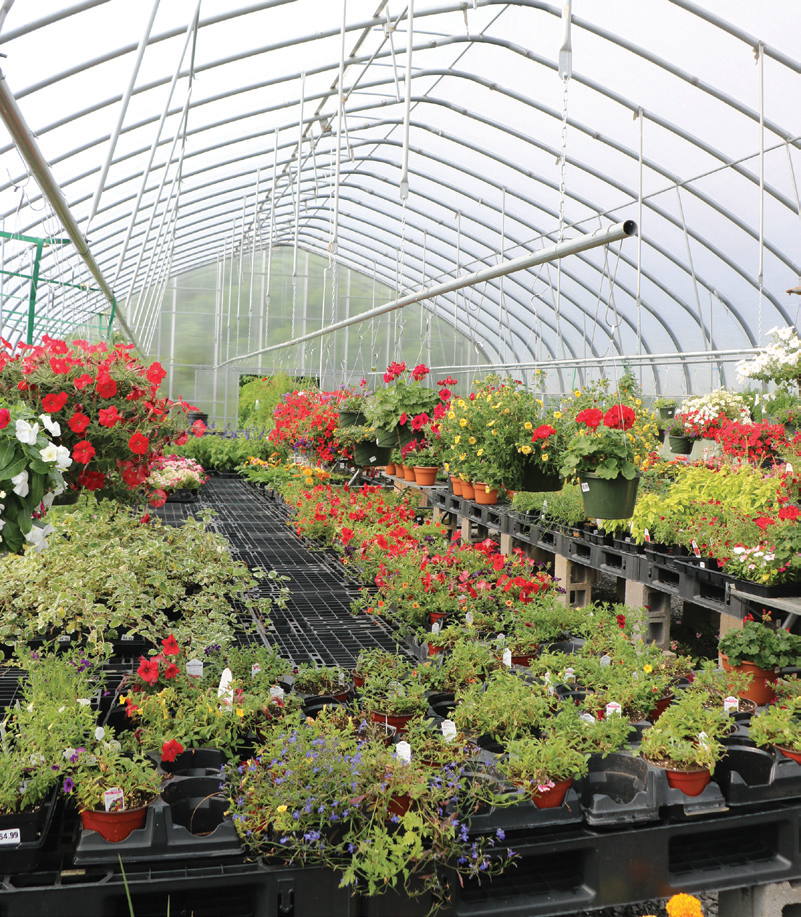 hendons Garden center