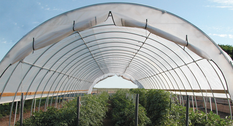 7 Spruce Farm close up