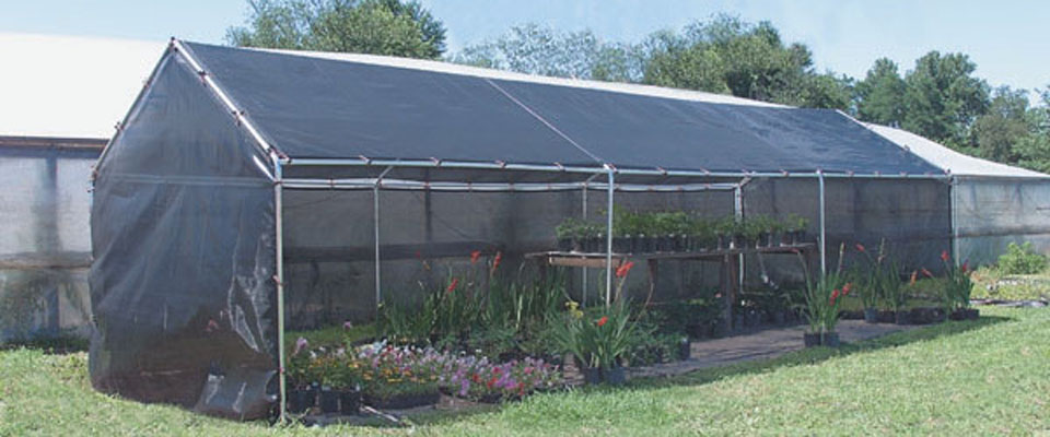 Commercial shade structure exterior