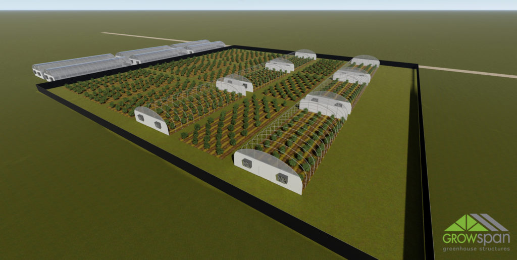 3D Greenhouse rendering